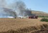 Coincidență sau altceva? Cel puțin 20 de incendii, toate în lanuri de grâu, au avut loc numai în ultima lună în România. În toată vara lui 2021 au avut loc numai șapte incendii de vegetație
