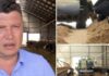 Fermier român: Sectorul fermelor de vaci din România este distrus aproape 100%