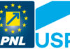 Cum au votat consilierii de la Sectorul 2: USR și PNL s-au aliat împotriva lui Vulcănescu. Cine sunt consilierii care s-au opus demolării bustului din Piața Sf. Ștefan