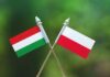 Polonia și Ungaria au interzis cerealele din Ucraina pentru a-și proteja fermierii. Bulgaria vrea să facă același lucru / Comisia Europeană: Inacceptabil