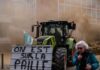 Franța | Fermierii au aruncat cu bălegar în fața primăriilor și a supermarketurilor
