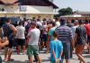 VIDEO | Micii fermieri din Lungulețu sunt acuzați că au furat apă din râul Dâmbovița. Irigarea culturilor de varză a pus în pericol compania Apa Nova, controlată de grupul francez Veolia Water