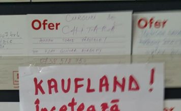 Kaufland spune că nu are nicio legătură cu tabăra LGBT pentru minori a asociației Accept. Lunga istorie a promovării homosexualității în România de către lanțul german