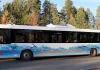 Un oraș din Suedia renunță la autobuzele electrice: A fost un experiment nereușit