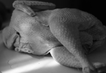 Prăpăd în Uniunea Europeană, în urma acordului cu Mercosur: 80% din puiul congelat importat din Brazilia este contaminat cu Salmonella