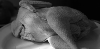 Prăpăd în Uniunea Europeană, în urma acordului cu Mercosur: 80% din puiul congelat importat din Brazilia este contaminat cu Salmonella