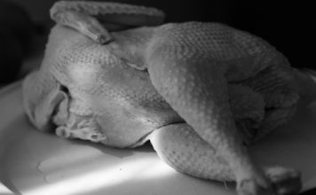Prăpăd în Uniunea Europeană, în urma acordului cu Mercosur: 80% din puiul congelat importat din Brazilia este contaminat cu Salmonella